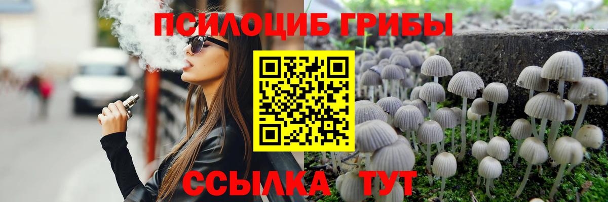 Первоуральск  Псилоцибиновые грибы Psilocybine cubensis  Вход с VPN 